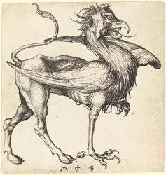 O Grifo