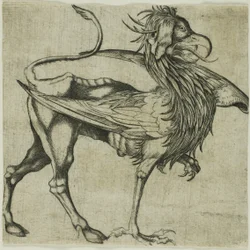 O Grifo