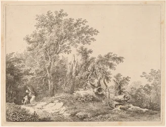 Paisagem com árvore quebrada