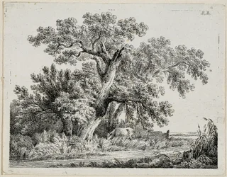 Paisagem