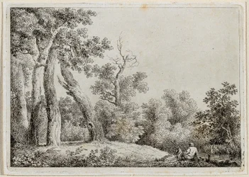 paisagem