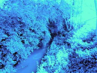 Na ponte