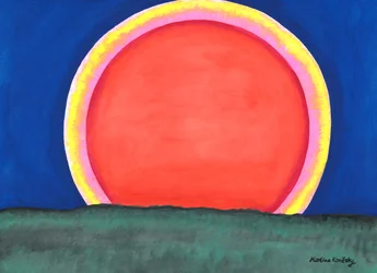 O sol da noite sobre a floresta