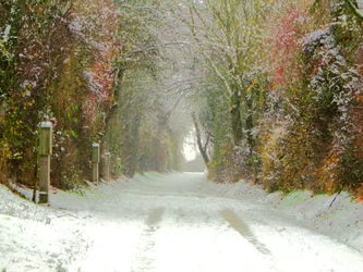 Caminho de campo