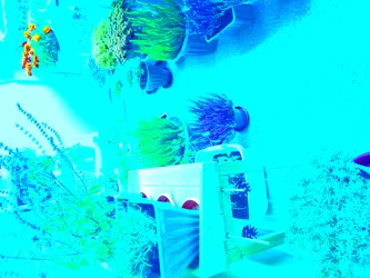 Jardinagem