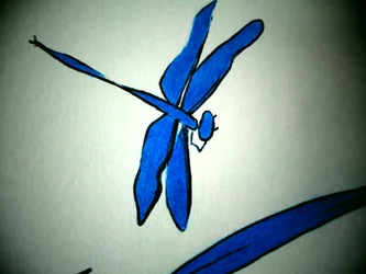 Libélula (pormenor)