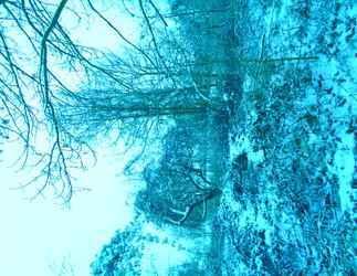 Azul inverno