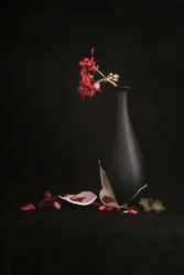 Vaso partido com flores vermelhas