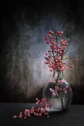 Natureza-morta com bagas cor-de-rosa