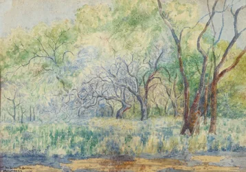 Paisagem