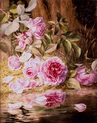 Blairie Roses (aguarela sobre papel)