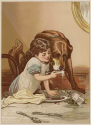 Menina, alimentação, cão, (chromolitho)