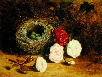 Natureza morta de ninho de pássaros e rosas (óleo sobre tela)