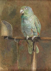 Polly o papagaio