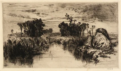 Taboas e árvores