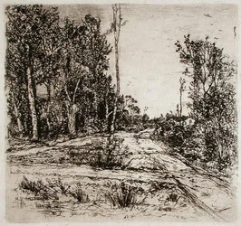Caminhos Divergentes (gravura)