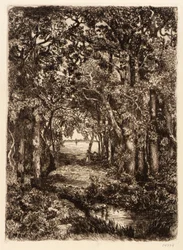O mar através do bosque