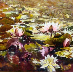 Lírios em jardins de Melbourne