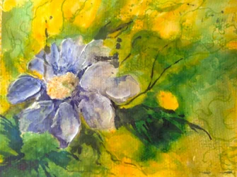 clematis no sol da tarde