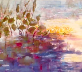reflexões de ouro e rosa