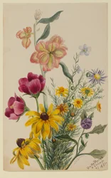 Grupo de flores