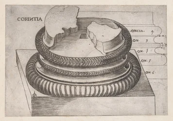 Speculum Romanae Magnificentiae: Base de Corinto do Templo de Marte Ultor, Roma, ..., ca. 1537.