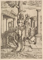 Homem contra uma árvore, c. 1543-44.