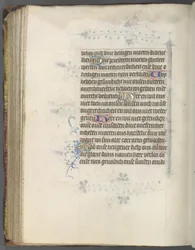Livro de Horas (Uso de Utrecht): fol. 174v, Texto
