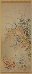 Flores e gramíneas