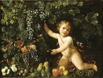 Uvas na videira, romãs, uvas e roseira brava em uma cesta, com figos, maçãs, peras e castanhas por um putto