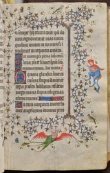Horas de Carlos o Nobre, rei de Navarra (1361-1425): fol. 31r, Texto