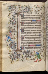 Horas de Carlos o Nobre, rei de Navarra (1361-1425): fol. 60v, Texto