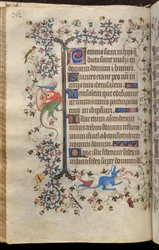 Horas de Carlos o Nobre, rei de Navarra (1361-1425): fol. 76v, Texto