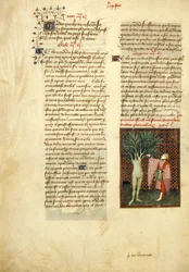 Harley 4431 , f.134v Apollo e Daphne, das 