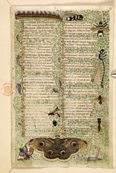 Acrescentar. 28841, f.4: Vespas, traças, libélulas e uma lagarta, de um tratado sobre as virtudes e vícios, e uma história anónima em prosa da Sicília (fragmento), c.1330-40 (vellum)