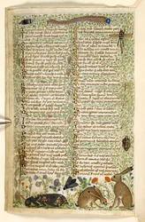 Adicionar. 28841, f.6v: Coelhos e insetos, incluindo uma lagarta, libélula e mariposa, de um Tratado sobre as virtudes e vícios, e uma história em prosa anônima da Sicília (fragmento), c.1330-40 (velino)