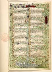 Adicionar. 28841, f.7, Flores, frutos e insetos, incluindo um gafanhoto e um gafanhoto, de um Tratado sobre as virtudes e vícios, e uma história em prosa anônima da Sicília (fragmento)