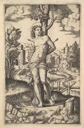 São Sebastião amarrado a uma árvore perfurada por flechas, 1530-60.