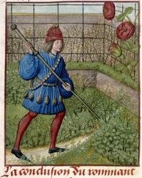 O Amante, no jardim, cuida da Rosa.