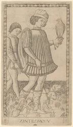 Zintilomo (Cavalheiro)