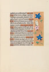 Horas da rainha Isabel, a católica, rainha da Espanha: Fol. 102r, c. 1500.