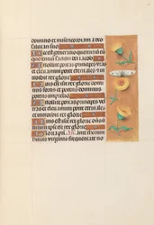 Horas da rainha Isabel, a católica, rainha da Espanha: Fol. 103r, c. 1500.