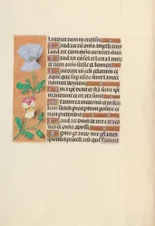Horas da rainha Isabel, a católica, rainha da Espanha: Fol. 120v, c. 1500.