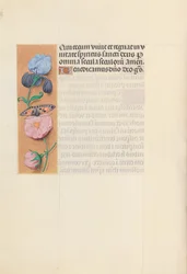 Horas da rainha Isabel, a católica, rainha da Espanha: Fol. 145v, c. 1500.