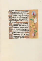 Horas da rainha Isabel, a católica, rainha da Espanha: Fol. 156r, c. 1500.