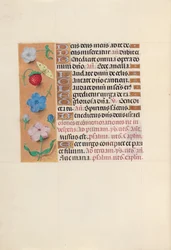 Horas da rainha Isabel, a católica, rainha da Espanha: Fol. 164v, c. 1500.