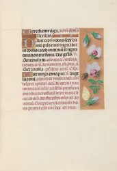 Horas da rainha Isabel, a católica, rainha da Espanha: Fol. 165r, c. 1500.