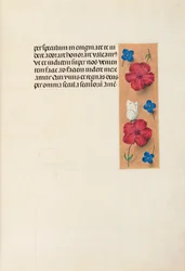 Horas da rainha Isabel, a católica, rainha da Espanha: Fol. 16r, c. 1500.
