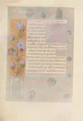 Horas da rainha Isabel, a católica, rainha da Espanha: Fol. 184v, c. 1500.