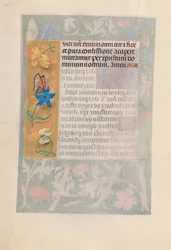 Horas da rainha Isabel, a católica, rainha da Espanha: Fol. 192v, c. 1500.